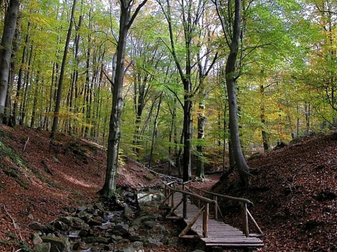 Gite L'A Cote, Bungalow Plain-Pied Sans Vis-A-Vis. Spa Dış mekan fotoğraf
